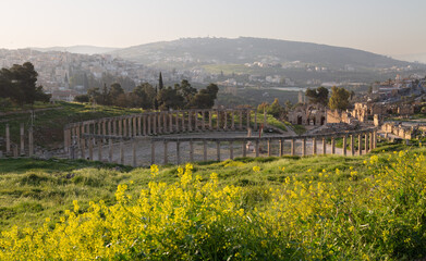 The Archaeological Site of Jerash
