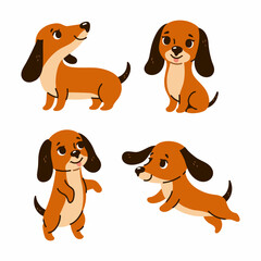 Set of four cute dachshund dogs. Vector graphics.