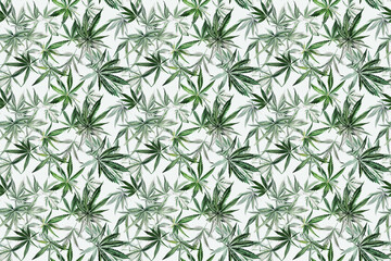 Obraz premium Natural seamless pattern of cannabis leaves in shades of green
