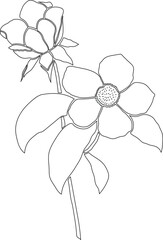 Floral hand draw 3 outline
