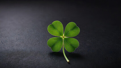 lucky four leaf clover on black background