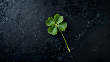 lucky four leaf clover on black background