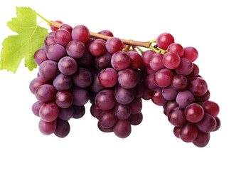 Red Wine Grapes PNG 