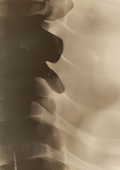 X-ray of bones. Aesthetics of X-rays. Generative AI - 783730213