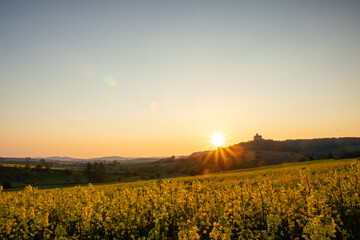 Landscape at sunrise. Beautiful morning landscape with fresh yellow rapeseed fields in spring. Small castle in the yellow fields on a hill. Historic Ronneburg Castle, Ronneburg, Hesse, Germany - obrazy, fototapety, plakaty