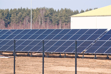 solar panels in a field against a background of green forest and blue sky