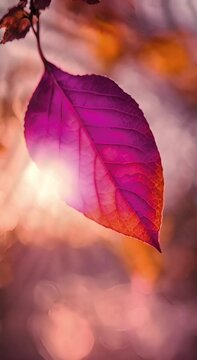 close up of pink leaf moving in an atmospheric sunset, wonderful and calming vertical autumn video