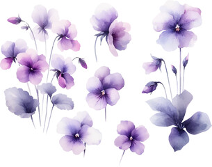 set of flax flowers in watercolor style
