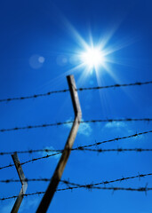 close up barbed wire fence over sunny blue sky
