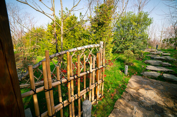 Bamboo fence in a spring Japanese garden along a stone path. Decorative hedge in the garden. Blooming Japanese quince in a flowerbed.