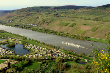 Ausflugschiff auf der Mosel in Höhe des Triolago bei Riol in Rheinland-Pfalz. Aussicht vom...