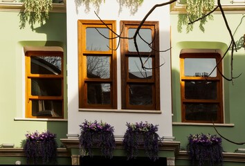 view of the green house in Balat with its windows and bushes, trees, flowers