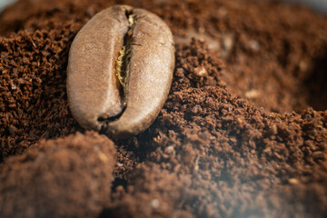 close up macro of coffee beans and powder 