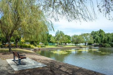 Water pond and lush green willow trees in Cato Park. Stawell, VIC Australia