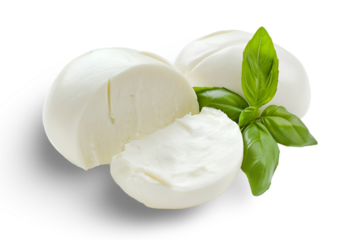 Mozzarella Cheese