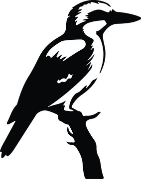 recommend clip art: kookaburra silhouette