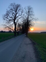 Fototapeta premium sunset on the road