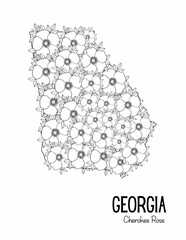 State Coloring Page, Utah, Flowers, State Flower, State, USA Coloring Page