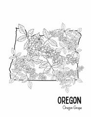 State Coloring Page, Oregon coloring page, Flowers, State Flower, State, USA Coloring Page