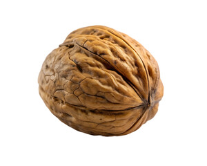 Obraz premium Zebrawood fruit isolated on transparent background