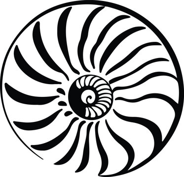 recommend clip art: nautilus silhouette
