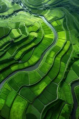 Schilderijen op glas Indonesian Rice Terraces: Aerial View of Lush Agricultural Landscape © Natalia Schuchardt