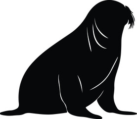 Obraz premium northern elephant seal silhouette