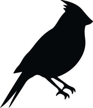 recommend clip art: northern cardinal silhouette