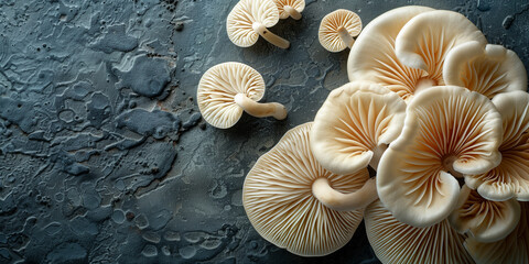 Several mushrooms arranged neatly on top of a table copy space