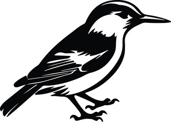 Fototapeta premium nuthatch silhouette