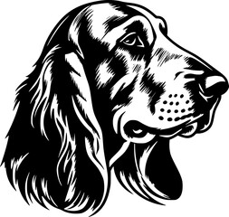 Fototapeta premium Basset Hound - High Quality Vector Logo - Vector illustration ideal for T-shirt graphic
