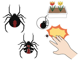 セアカゴケグモセット