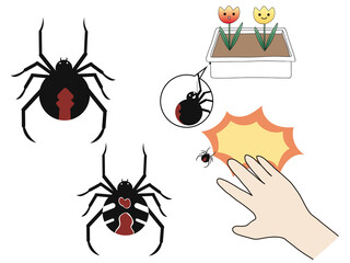 セアカゴケグモセット