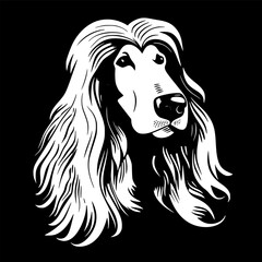 Afghan Hound - High Quality Vector Logo - Vector illustration ideal for T-shirt graphic