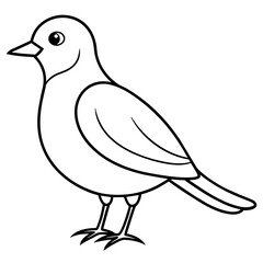    Bird vector illustration.
