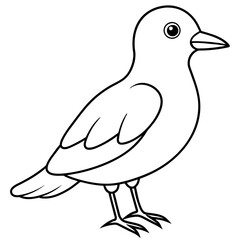    Bird vector illustration.
