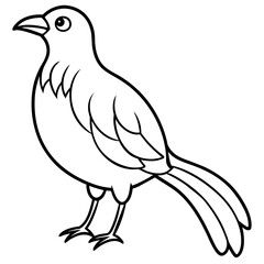    Bird vector illustration.
