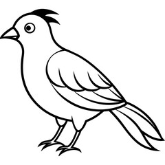    Bird vector illustration.
