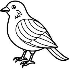    Bird vector illustration.
