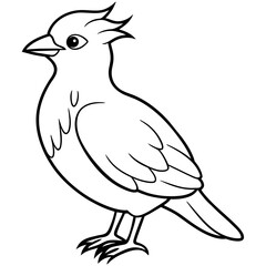    Bird vector illustration.
