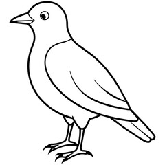    Bird vector illustration.
