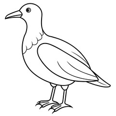    Bird vector illustration.
