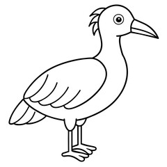    Bird vector illustration.
