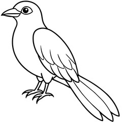    Bird vector illustration.
