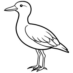    Bird vector illustration.
