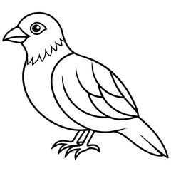    Bird vector illustration.
