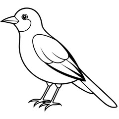    Bird vector illustration.
