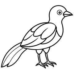    Bird vector illustration.
