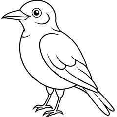    Bird vector illustration.
