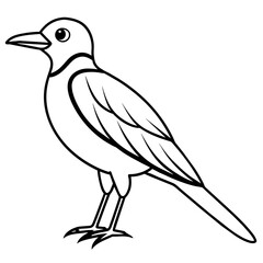    Bird vector illustration.
